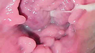 3564 big pussy porn videos